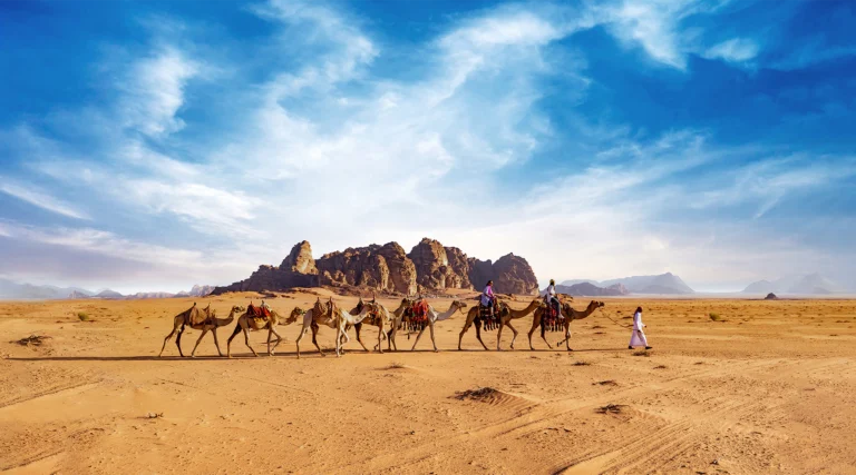 Wadi Rum Camel Riding