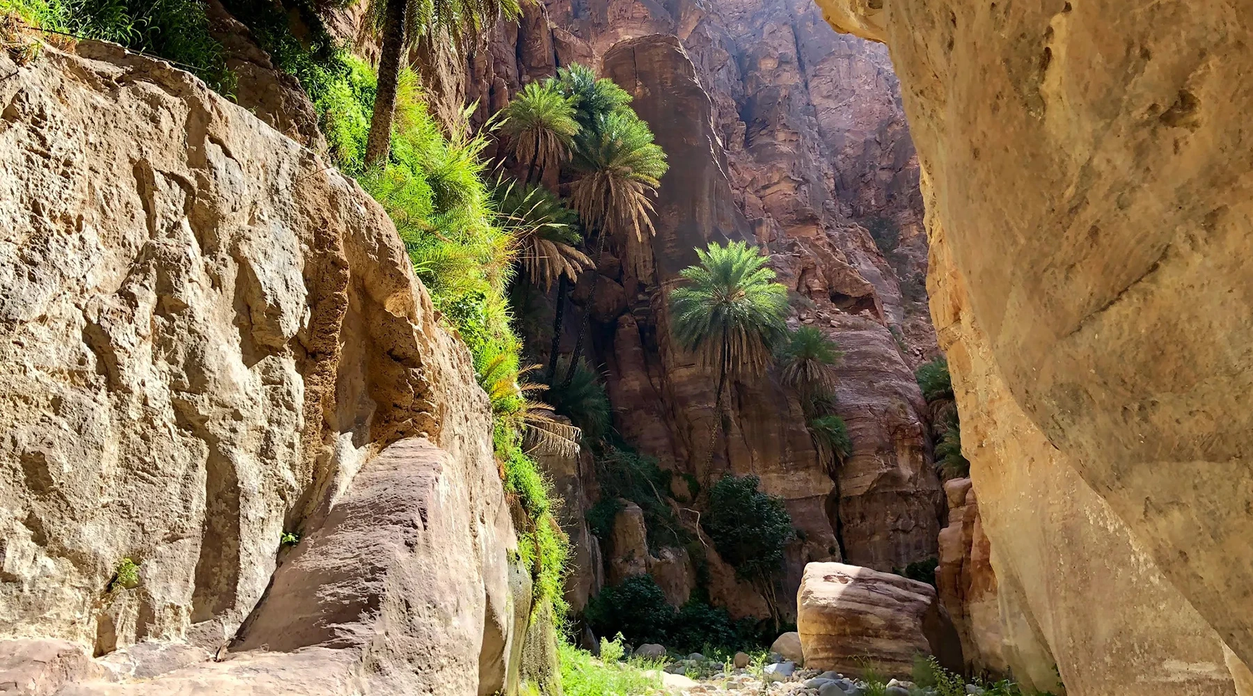 A Hike Through Wadi Ghuweir
